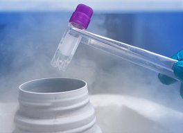 Сколько стоит криоконсервация эмбрионов