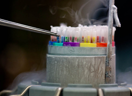 Витрификация