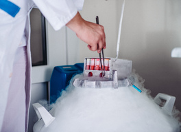 Сколько стоит заморозка спермы