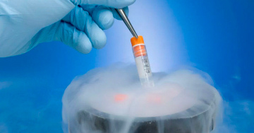 Криозаморозка эмбрионов